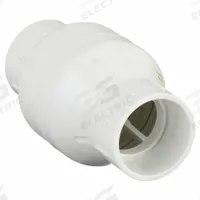 DAYTON Spring Check Valve: Inline Valve Body, 2 in Pipe Size, Socket x Socket, PVC, Female, Socket (MPN 4RG75). Key specifications — Brand: DAYTON; Poppet Material: Stainless Steel.