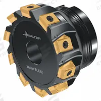 WALTER Indexable Face Mill: F5141.B27.080.Z10.12 (MPN 6195019). Key specifications — attr256955: F5141.B27.080.Z10.12.