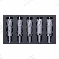 HOLEMAKER TECHNOLOGY Hole Cutter Set: 5 Pieces, 2 1/4 in Max. Cutting Dp, Carbide Tipped (MPN 101030-INSET2). Key specifications — attr1098245: HOLEMAKER TECHNOLOGY; attr1098234: Carbide Tipped.