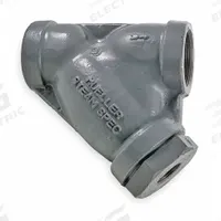 MUELLER STEAM SPECIALTY Y Strainer: 3/4 in, NPT, Perforated, 0.062 in Screen Size, Stainless Steel (MPN 3/4 581-SS screwed end). Key specifications — Brand: MUELLER STEAM SPECIALTY; Manufacturer Part Number: 3/4 581-SS screwed end; Screen Material: 304 Stainless Steel.