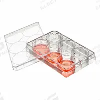 GLOBE SCIENTIFIC Well Plate: Sterile, 6 Wells, 2.9 mL, RNase/DNase Free, Tissue Culture Treated (MPN TC-PLT-6-NT). Key specifications — Brand: GLOBE SCIENTIFIC; Body Color: Colorless; RNase/DNase Free: Yes; Well Shape: Square; Material: Polystyrene.