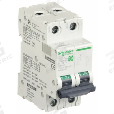 SCHNEIDER Supplementary Protector: 6 A Amps, 500V DC, 5kA at 250V DC, Screw Clamp - DC-Only Rated, 2-Pole UL1077 DIN Rail-Mount Supplementary Protectors