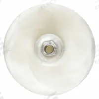DAYTON Pump Impeller: Mfr Part # PPL2216PG, For Use With 2YEU2/2YEU3/2YEV2. Key specifications — Impeller Material: Polypropylene; Compatible with Brand: Dayton; Compatible with Pump Type: Chemical-Resistant Centrifugal Pump; Impeller Design: Closed; Manufacturer Part Number: PPL2216PG; Compatible with Grainger Part Number: 2YEU2; Compatible with Manufacturer Model Number: 2YEU3; Brand: DAYTON.