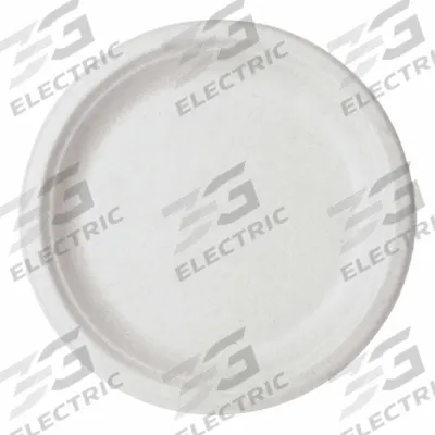 VEGWARE Plates: Natural Oatmeal, 9 in Disposable Plate Size, 1 Compartments - Compostable Fiber Plates
