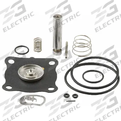 ASCO Valve Rebuild Kit (MPN 166066) - Repair Kits for Solenoid Valves