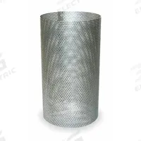 MUELLER STEAM SPECIALTY Strainer Screen: Perforated, 0.045 in Screen Size, Compressed Non-Asbestos (MPN 4 781 cs replacement screens). Key specifications — Brand: MUELLER STEAM SPECIALTY; Seal Material: Compressed Non-Asbestos; Manufacturer Part Number: 4 781 cs replacement screens; Screen Material: 304 Stainless Steel.