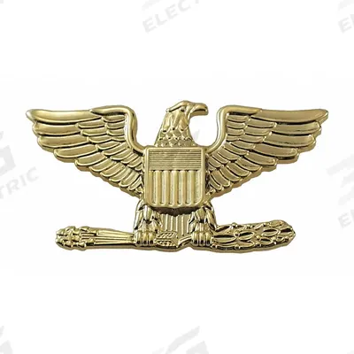 HEROS PRIDE Metal Rank Insignia: Col. Eagle, 1 in, Gold, Metal, Pin and Safety Catch - Metallic Insignia