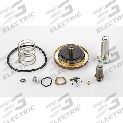 ASCO Valve Rebuild Kit (MPN 304395) - Repair Kits for Solenoid Valves