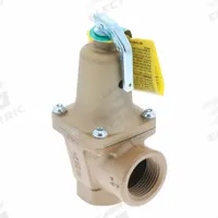 WATTS Boiler Pressure Relief Valve: FNPTF x FNPTF, 3/4 in x 1 in, Iron, 40 psi Max. Op Pressure (MPN F382328). Key specifications — Brand: WATTS.