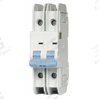 DAYTON IEC Miniature Circuit Breaker: 32 A Amps, 125V DC, 10kA at 240V AC, Lug, NDB2T-63 B32/2 L (MPN 33V967). Key specifications — DC Voltage Rating: 125V DC; Brand: DAYTON; Max. AIR Rating: 10kA at 240V AC; Terminal Connection: Lug; AC Voltage Rating: 240V AC.
