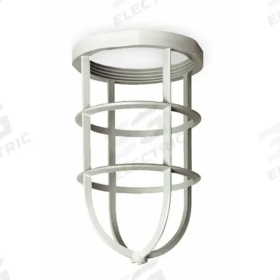 HUBBELL KILLARK Hazardous Location Guard: For NV2 Series - Hazardous Location Lighting Guards & Protectors