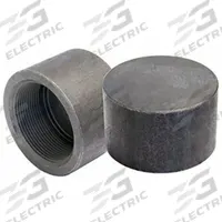 ANVIL Cap: Cap, Steel, Class 3000, 9,000 psi, 1 in, NPT Threaded (MPN 0361502859). Key specifications — Includes Pre-Applied Thread Sealant: No.