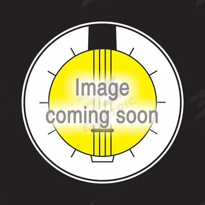 BANJO Check Valve: Inline Valve Body, 1 in Pipe Size, Flange x Flange - Polypropylene Poppet Check Valves