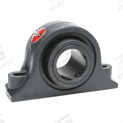 MOLINE BEARING Pillow Block Bearing: 2 1/2 in Bore, Expansion, Cast Iron, 2 3/4 in Shaft Ht - Expansion Pillow Block Spherical Roller Bearings