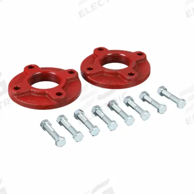 BELL & GOSSETT Isolation Flange: 2 1/2 in, 101219, 2 1/2 in NPT, Flange - Isolation Flanges