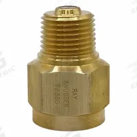 RAY Pressure Gauge Snubber: Brass, Filter, Brass NPT, 5,000 psi Max. Pressure, 0 Pistons, Oil (MPN 723BD). Key specifications — Snubber Type: Filter; Connection Type: NPT; Brand: RAY; Material: Brass; Compatible Liquids and Gases: Oil.