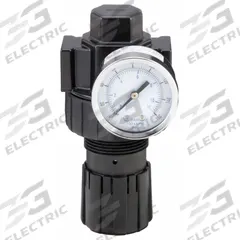 PARKER Compressed Air Regulator: Zinc, 1/2 in NPT, 75 cfm, 2 psi to 125 psi, 125 psi Max Op Pressure (MPN 06R318AC). Key specifications — attr111664: Yes; attr111400: 06R; attr111627: PARKER.