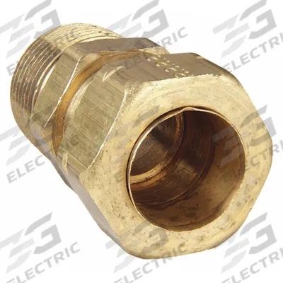PARKER Compression Fitting Adapter: 3/4 in OD x 3/4 in Pipe Fitting Size, Compression x MNPT - Self-Aligning Brass Compression Fittings