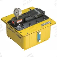 ENERPAC Air Hydraulic Pump: 5,000 psi Max. Op Pressure, 2 gal Reservoir Capacity, Pendant (MPN PACG50S8S). Key specifications — attr995446: Pendant.