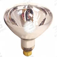 SATCO Incandescent Bulb: Incandescent, R40, Medium Screw (E26), 125 W Watt, 2700K, Clear, 120V AC (MPN S4750). Key specifications — Bulb Finish: Clear; Color Temperature: 2700K; Shatter-Resistant: No; Brand: SATCO; Voltage: 120V AC; Bulb Shape: R40.