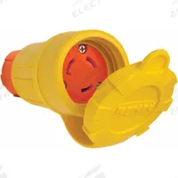 PASS & SEYMOUR Locking Connector: Non-NEMA, Yellow, 125/250V AC, 30 A Current Rating, 3 Poles (MPN 29W08AM). Key specifications — Brand: PASS & SEYMOUR.