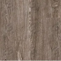 ARMSTRONG FLOORING Vinyl Floor Tiles: Platinum, Charlestown Oak, 6 in Tile Wd, Smooth, Vinyl (MPN U5040651). Key specifications — Color: Platinum; Brand: ARMSTRONG FLOORING.