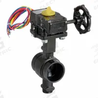GRUVLOK Butterfly Valve: 2 in Pipe Size, Clamp, 300 psi Max. Pressure (CWP), For Water Media, EPDM (MPN 7005015008). Key specifications — Brand: GRUVLOK; Handle Type: Gear Operated Handwheel.