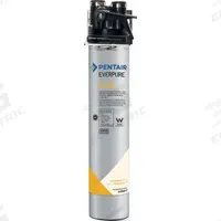 EVERPURE Water Filtration System: 5 micron, 2.5 gpm, FNPT, 16 in Overall Ht, 15,000 gal, Carbon (MPN EV925972 -75). Key specifications — Brand: EVERPURE; Reduces: Chlorine; Filter Media: Carbon.