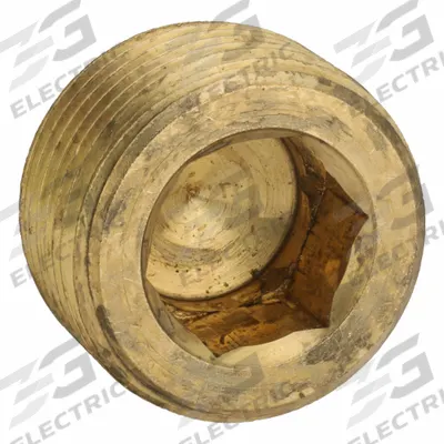 PARKER Plug: Plug, 3/4 in, NPT Threaded, 1,000 psi, 5/8 in Lg - Threaded High-Pressure Pipe Fittings