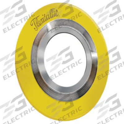 FLEXITALLIC Spiral Wound Flange Gasket: Graphite Filler, 304 Stainless Steel Winding - Buckle-Resistant Graphite Spiral-Wound Gaskets