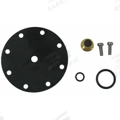 WATTS Pilot Rebuild Kit: CP15RK