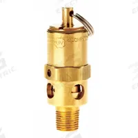 CONRADER Safety Valve: Hard Seat, 1/8 in (M)NPT Inlet (In.), 1/8 in (F)NPT Outlet (In.), Brass (MPN SRH250-1/8-225 SST). Key specifications — attr291993: Hard Seat; attr291998: Brass; attr292007: Stainless Steel; attr292009: Brass; attr294753: CONRADER.