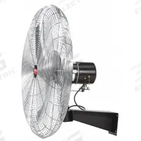 DAYTON Mounted Fan: 30 in Blade Dia, 115V AC, 1/3 hp Motor HP, Wall Mount, Non-Oscillating, Bracket (MPN 20956). Key specifications — Brand: DAYTON; Voltage: 115V AC; Number of Speeds: 3; Fan Mounting Location: Wall; Oscillation: Non-Oscillating; Mounting Type: Bracket.