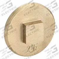OATEY Plug: Plug, 2 1/2 in Fitting Pipe Size, NPT Threaded, Brass, 10 psi, Square Drive (MPN 42371). Key specifications — attr1362624: 10 psi.
