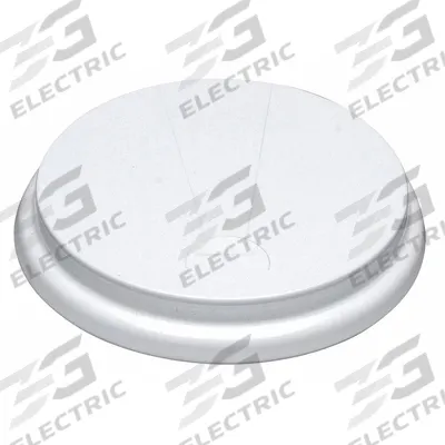 APPROVED VENDOR Drum Plug Capseal: For Hex Plug Head Shape, Crimp, 2 in For Plug Size, Steel - Drum Capseals
