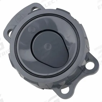HAYWARD Wafer Check Valve: Swing, Inline Valve Body, 4 in Pipe Size, Wafer, PVC - PVC Wafer Spring-Loaded Swing Check Valves