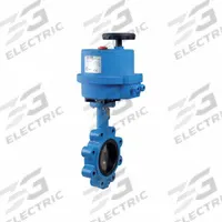 BONOMI Electrically Actuated Butterfly Valve: For Air/Water Media, Ductile Iron, 24V AC/DC, Lug (MPN E541S-002-10). Key specifications — Input Control Signal: Manual; Brand: BONOMI; Disc Material: Stainless Steel.