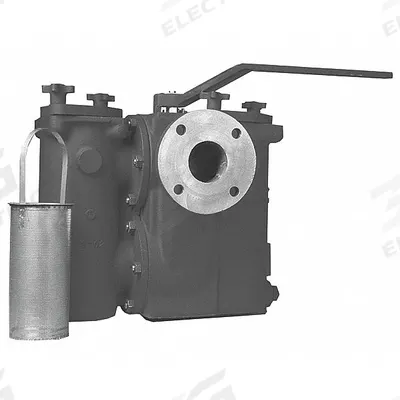 MUELLER STEAM SPECIALTY Basket Strainer: Cast Iron, 0.062 in Screen Size, Dual, NPT - Cast Iron Basket Strainers