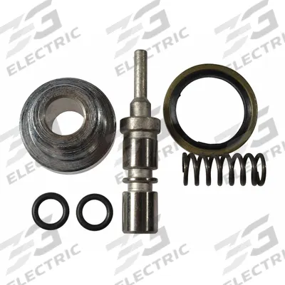 DAYTON Pump Valve Assembly: For 4YX96G - GGS Material Handling Parts