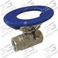 APPROVED VENDOR Manual Two-Way Ball Valve: 1 1/4 in, 316 Stainless Steel, Straight Valve Body, PTFE (MPN G-SSO-125V). Key specifications — Brand: APPROVED VENDOR; Handle: Locking Oval.