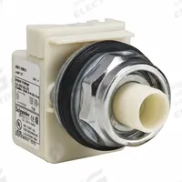 SCHNEIDER Flush Push Button: 30 mm Mounting Size, Metallic, Maintained (MPN 9001KR9P1). Key specifications — Brand: SCHNEIDER; Action: Maintained; Series: 9001K; Push Button Material Type: Metallic.