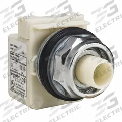 SCHNEIDER Flush Push Button: 30 mm Mounting Size, Metallic, Maintained (MPN 9001KR9P1). Key specifications — Brand: SCHNEIDER; Action: Maintained; Series: 9001K; Push Button Material Type: Metallic.