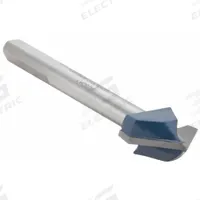 BOSCH Glass and Tile Drill Bit: 1 in Drill Bit Size, 2 1/2 in Max Drilling Dp, 4 in Overall Lg (MPN GT1000). Key specifications — attr253610: Glass; attr277139: BOSCH.