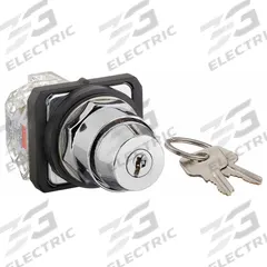 DAYTON Selector Switch: 2 Position, 30 mm Panel Mounting Size, 1NO/1NC (MPN 30G317). Key specifications — Manufacturer Part Number: 30G317; Brand: DAYTON; Switch Action: Maintained/Momentary; Contact Form: 1NO/1NC; Key Removal Position: Right.