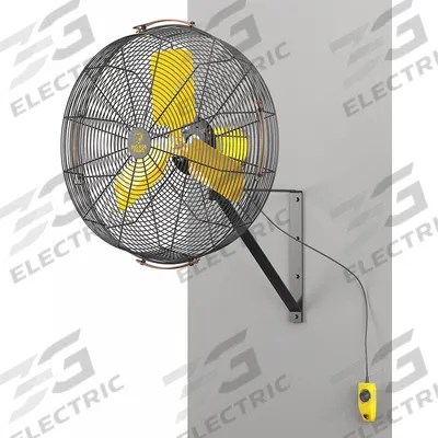 BIG ASS FANS Mounted Fan: 24 in Blade Dia, 120V AC, 1/3 hp Motor HP, Wall Mount - Standard Industrial Wall-Mount Fans