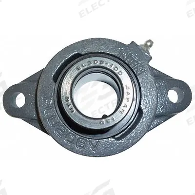 NTN 2 Bolt Flange Bearing: Radial Ball, 1 1/4 in Bore, Cast Iron, Eccentric Collar - General Purpose Flange-Mount Ball Bearings