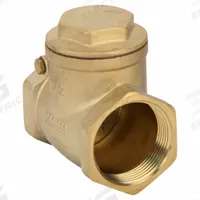 APPROVED VENDOR Swing Check Valve: Swing, Inline Valve Body, 1 1/2 in Pipe Size, FNPT x FNPT, Brass (MPN 6VDT7). Key specifications — Brand: APPROVED VENDOR.