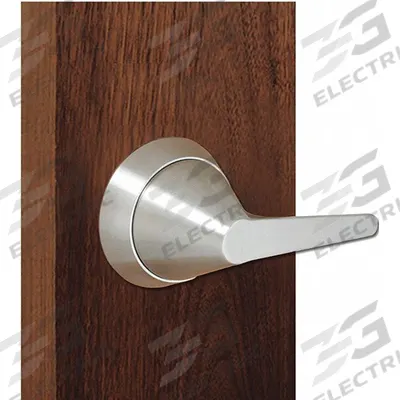 TOWNSTEEL Door Lockset: Dummy Lever Locksets, Stainless Steel, ADA Compliant