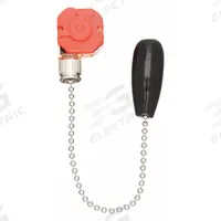 DAYTON Pull Chain Switch (MPN VEPULLCSG). Key specifications — Product Type: Pull Chain Switch; Brand: DAYTON; Manufacturer Part Number: VEPULLCSG; Contact Form: SP3T; Metal Finish: Silver; Switch Function Configuration: Off/On/On/On.