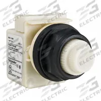 SCHNEIDER ELECTRIC Pilot Light: 30 mm Panel Mounting Size, White, Incandescent, 9001SK Series (MPN 9001SKP1W31). Key specifications — Series: 9001SK; Brand: SCHNEIDER; Includes Push-To-Test: No Push-To-Test Included.